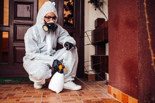 Attic and Crawl Space Rodent Treatment in University