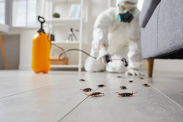 Commercial Rodent Management in University